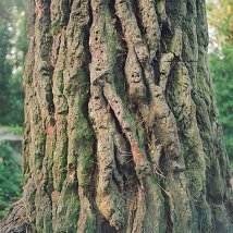 Kevin Kirwan: Here’s to you |  Project Arts Centre 
39 East Essex Street Temple Bar, Dublin 2 | Thursday 23 August to Saturday 27 October 2012 | to 