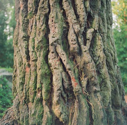 Kevin Kirwan: Here’s to you | Thursday 23 August  – Saturday 27 October 2012 | Project Arts Centre