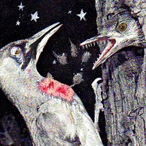 Abridged 0 – 26: Rust |  Golden Thread Gallery 
23-29 Queen Street Belfast BT1 6EA | Friday 24 August to Monday 29 October 2012 | to 