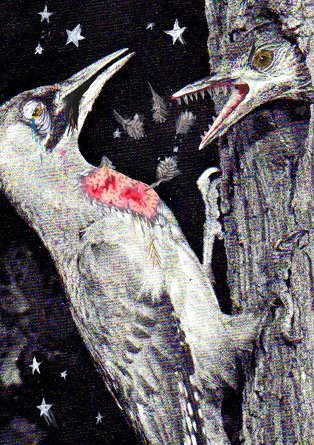 Abridged 0 – 26: Rust | Friday 24 August  – Monday 29 October 2012 | Golden Thread Gallery