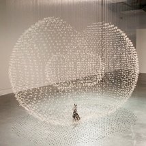 Claire Morgan: Gone to Seed |  Metropolitan Arts Centre (The MAC) 
10 Exchange Street West Belfast BT1 2NJ | Friday 2 November 2012 to Sunday 20 January 2013 | to 