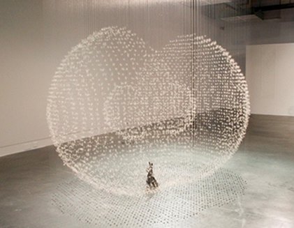 Claire Morgan: Gone to Seed | Friday 2 November 2012  – Sunday 20 January 2013 | Metropolitan Arts Centre (The MAC)