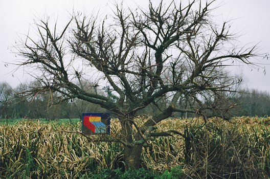 Magdalena Jitrik: International Lantern | Friday 19 October  – Friday 23 November 2012 | The Belltable