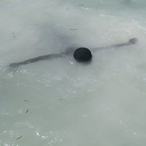 Viviane Sassen: Parasomnia |  Crawford Art Gallery 
Emmet Place, Cork | Thursday 18 October to Saturday 3 November 2012 | to 