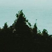 Anna Bjerger, Oliver Comerford, Diana Copperwhite |  Kevin Kavanagh 
Chancery Lane Dublin 8 | Saturday 24 November to Saturday 22 December 2012 | to 