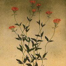 Christmas Exhibition 2012 |  Hillsboro Fine Art 
49 Parnell Square West Dublin 1 | Friday 7 December to Saturday 22 December 2012 | to 