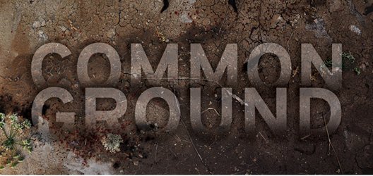Pat Fitzpatrick: Common Ground | Friday 25 January  – Saturday 23 March 2013 | Bourn Vincent Gallery