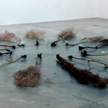 Christine Mackey: Seed Matter |  Limerick City Gallery 
Pery Square, Limerick | Thursday 24 January to Friday 15 March 2013 | to 