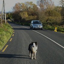 Laura Morrison / Maite Zabala |  VOID 
Patrick Street Derry BT48 7EL | Saturday 23 March to Friday 3 May 2013 | to 