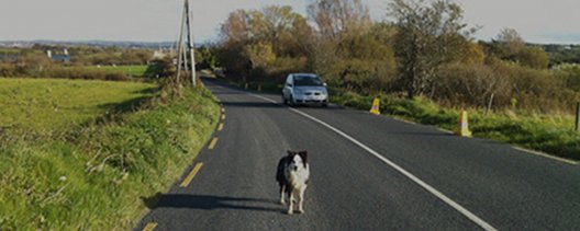 Laura Morrison / Maite Zabala | Saturday 23 March  – Friday 3 May 2013 | VOID