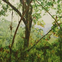 Paul McKinley: Operation Turquoise |  Kevin Kavanagh 
Chancery Lane Dublin 8 | Thursday 21 March to Saturday 20 April 2013 | to 