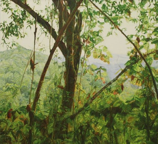 Paul McKinley: Operation Turquoise | Thursday 21 March  – Saturday 20 April 2013 | Kevin Kavanagh