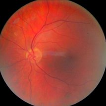 Experimental Film Society |   | Tuesday 26 March 2013 | to 