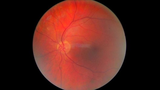 Experimental Film Society | Tuesday 26 March 2013 | 