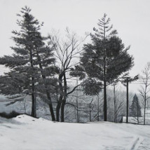 Stephen Loughman: Interiors |  Kevin Kavanagh 
Chancery Lane Dublin 8 | Thursday 25 April to Saturday 25 May 2013 | to 