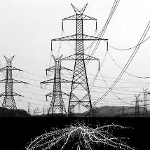 Dave Madigan and Méadhbh O’Connor: powers + roots |  Project Space at PP/S 
Pallas Projects/Studios 115 - 117 The Coombe Dublin 8 | Thursday 23 May to Saturday 1 June 2013 | to 