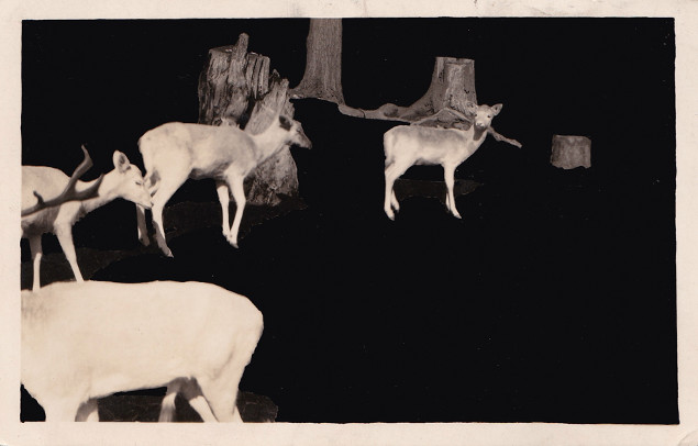 Magnhild Opdøl: from the series 'We're afraid to go home in the dark', black marker on card, 2013 | Magnhild Opdøl: point of no return | Saturday 15 June  – Sunday 28 July 2013 | Butler Gallery