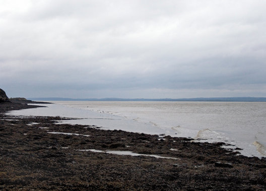 Welcome to the Neighbourhood, 8th Edition | Monday 17 June  – Saturday 29 June 2013 | 