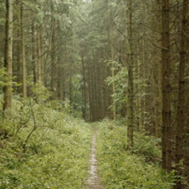 I Won’t Say I Will See You Tomorrow |  Mermaid Arts Centre 
Main Street, Bray Co. Wicklow | Saturday 14 September to Thursday 31 October 2013 | to 