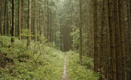 © Bernhard Fuchs | I Won’t Say I Will See You Tomorrow | Saturday 14 September  – Thursday 31 October 2013 | Mermaid Arts Centre