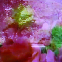 Cora Cummins: The Black Rose The Green Pond and The Blue Sky |  VISUAL Centre for Contemporary Art 
Old Dublin Road, Carlow | Saturday 5 October 2013 to Sunday 5 January 2014 | to 