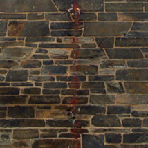 Ackroyd & Harvey: Cunningham |   | Saturday 14 September to Tuesday 31 December 2013 | to 