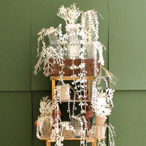 Vanessa Donoso López: A Painful Excess of Pleasure |  Kevin Kavanagh 
Chancery Lane Dublin 8 | Thursday 26 September to Saturday 26 October 2013 | to 