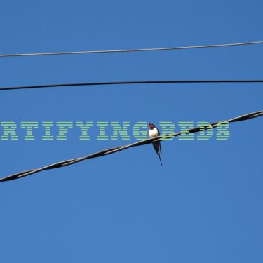 Resistance and Rebellion: Artist Residencies at Fort Dunree |  Fort Dunree 
Buncrana, Inishowen Co Donegal | Saturday 28 September to Friday 8 November 2013 | to 