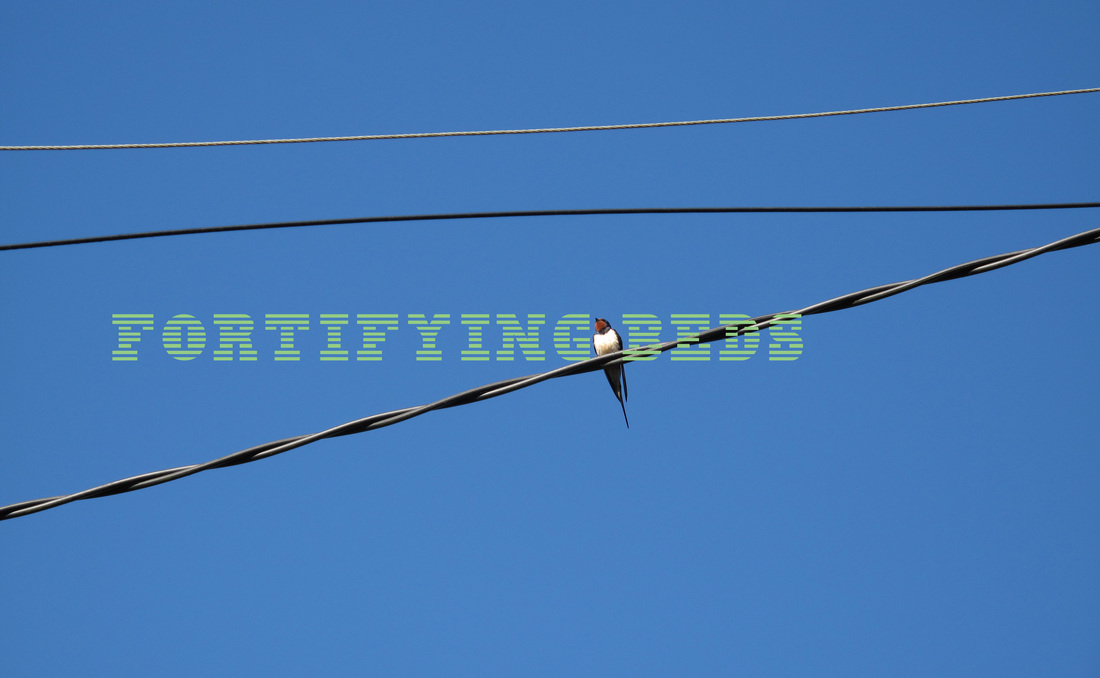 Christine Mackey | Resistance and Rebellion: Artist Residencies at Fort Dunree | Saturday 28 September  – Friday 8 November 2013 | Fort Dunree