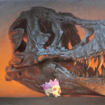 Conor Walton: Vanitas |  Peppercanister Gallery 
3 Herbert Street Dublin 2 | Friday 8 November to Saturday 30 November 2013 | to 