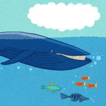 Pictiúr |  IMMA 
Royal Hospital, Kilmainham Dublin 8 | Thursday 14 November 2013 to Sunday 12 January 2014 | to 