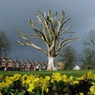 Locky Morris: Dead On |  Brooke Park, Derry | Saturday 14 December 2013 to Wednesday 30 April 2014 | to 