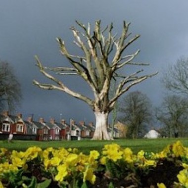 Locky Morris: Dead On |  Brooke Park, Derry | Saturday 14 December 2013 to Wednesday 30 April 2014 | to 