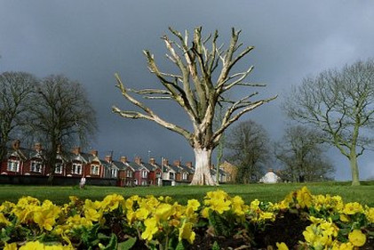 Locky Morris: Dead On | Saturday 14 December 2013  – Wednesday 30 April 2014 | 