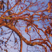 Paul McKinley: Gacaca |  Royal Hibernian Academy 
15 Ely Place, Dublin 2 | Friday 17 January to Sunday 27 April 2014 | to 