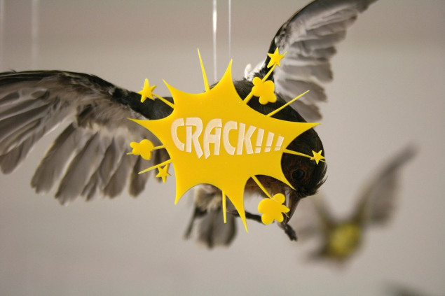 Vera Klute: Deadweight | Friday 17 January  – Sunday 23 February 2014 | Royal Hibernian Academy