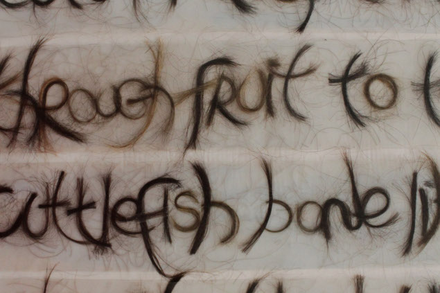 Donna Coogan: Try Mango (detail), human hair and contact paper, 152 x 76 cm | Things / Daiktai | Saturday 8 March  – Saturday 12 April 2014 | CIT Wandesford Quay Gallery