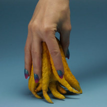 Camille Henrot: Grosse Fatigue |  Lismore Castle Arts 
Lismore Co. Waterford | Saturday 8 March to Sunday 13 April 2014 | to 