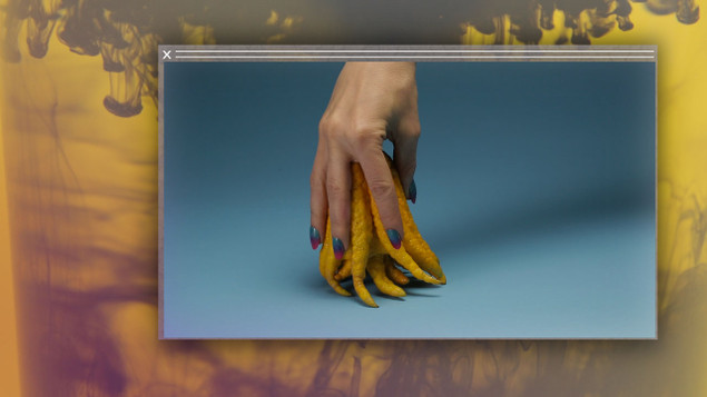 Camille Henrot: Grosse Fatigue | Saturday 8 March  – Sunday 13 April 2014 | Lismore Castle Arts