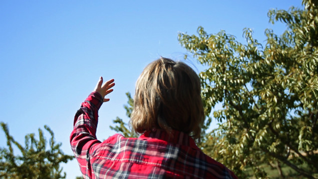 Kennedy Browne: The Myth of the Many in the One | Friday 11 April  – Saturday 7 June 2014 | Crawford Art Gallery