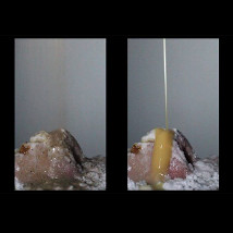 Anne Quail: cure i us |  Arts & Disability Forum Gallery 109-113 Royal Avenue Belfast | Friday 2 May to Thursday 5 June 2014 | to 