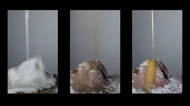 Anne Quail: cure i us | Friday 2 May  – Thursday 5 June 2014 | 