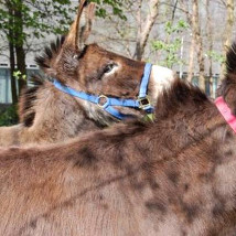 Isabel Nolan: The Weakened Eye of Day |  IMMA 
Royal Hospital, Kilmainham Dublin 8 | Saturday 7 June to Sunday 21 September 2014 | to 