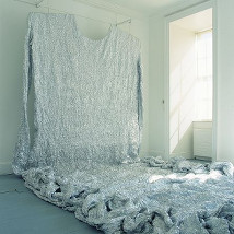 Beverly Semmes: Big Silver and One Green Leaf |  IMMA 
Royal Hospital, Kilmainham Dublin 8 | Saturday 3 May to Friday 20 June 2014 | to 