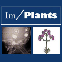 Im/Plants |  National Sculpture Factory 
Albert Road, Cork City | Tuesday 6 May to Monday 9 June 2014 | to 