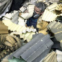 Bénédicte Coleman: Papyrus Infiltrans (Mutative Species) |  Crawford Art Gallery 
Emmet Place, Cork | Friday 20 June to Thursday 3 July 2014 | to 