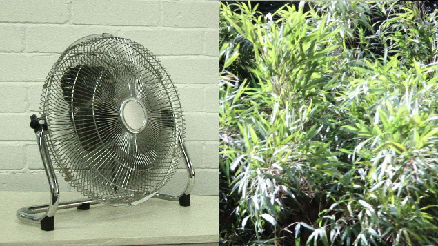 Hannah Mooney: But Never Mind | Friday 20 June  – Saturday 26 July 2014 | The LAB