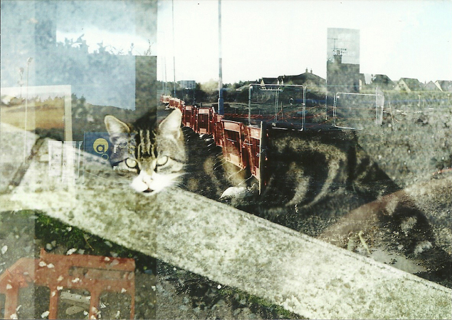 Trevor Wray: Over and Over and Over | Friday 20 June  – Thursday 14 August 2014 | 