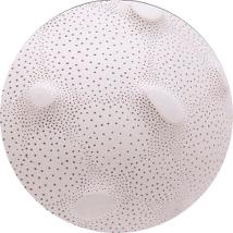 Centred |   | Friday 8 August to Sunday 5 October 2014 | to 