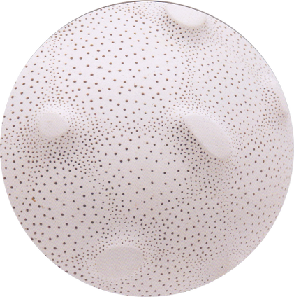 Centred | Friday 8 August  – Sunday 5 October 2014 | 